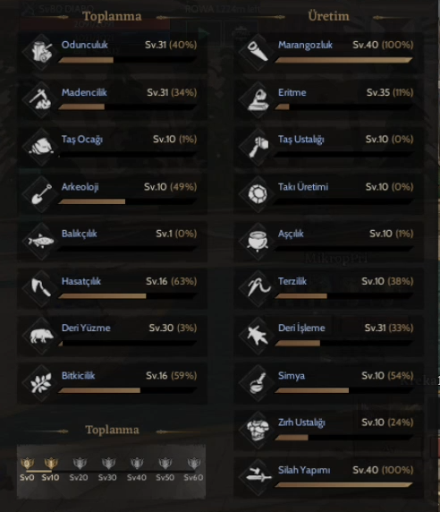 40 LEVEL WEAPONCRAFTER + GM 1 HESAP.