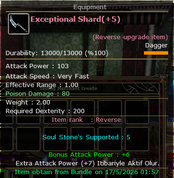 +5 REB EXP SHARD ( BUFLU SİLAH )