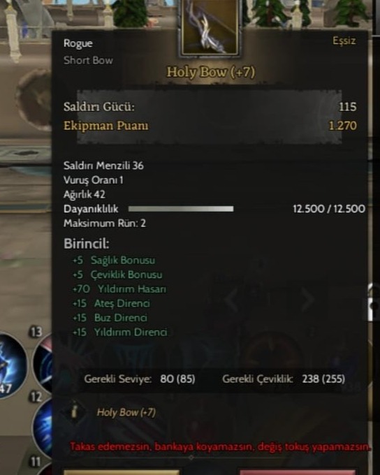 85 LVL ROGUE  +7 HOLY BOWLU 210k np