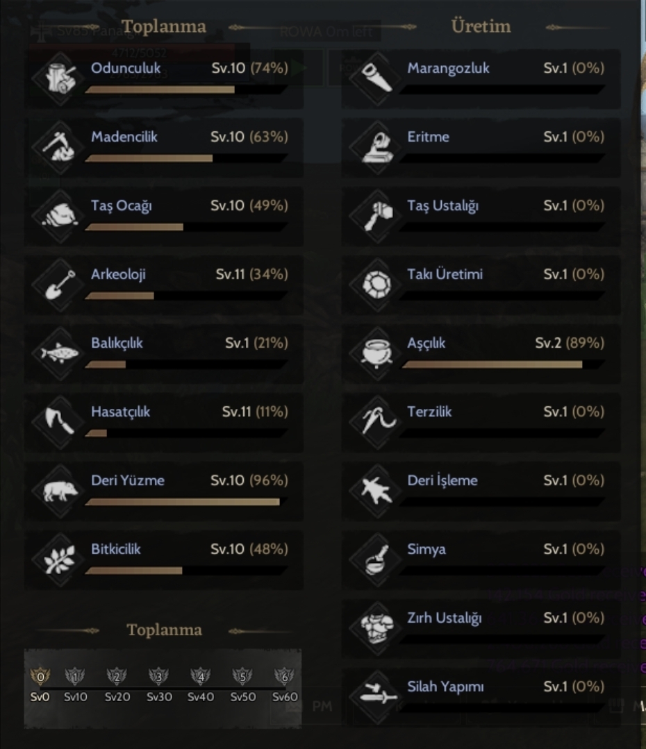 85 lvl toplayıcı priest nft alıcıya aittir