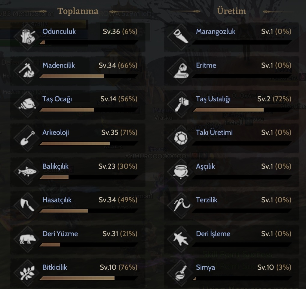 85 Lvl TOPLAYICI Rogue