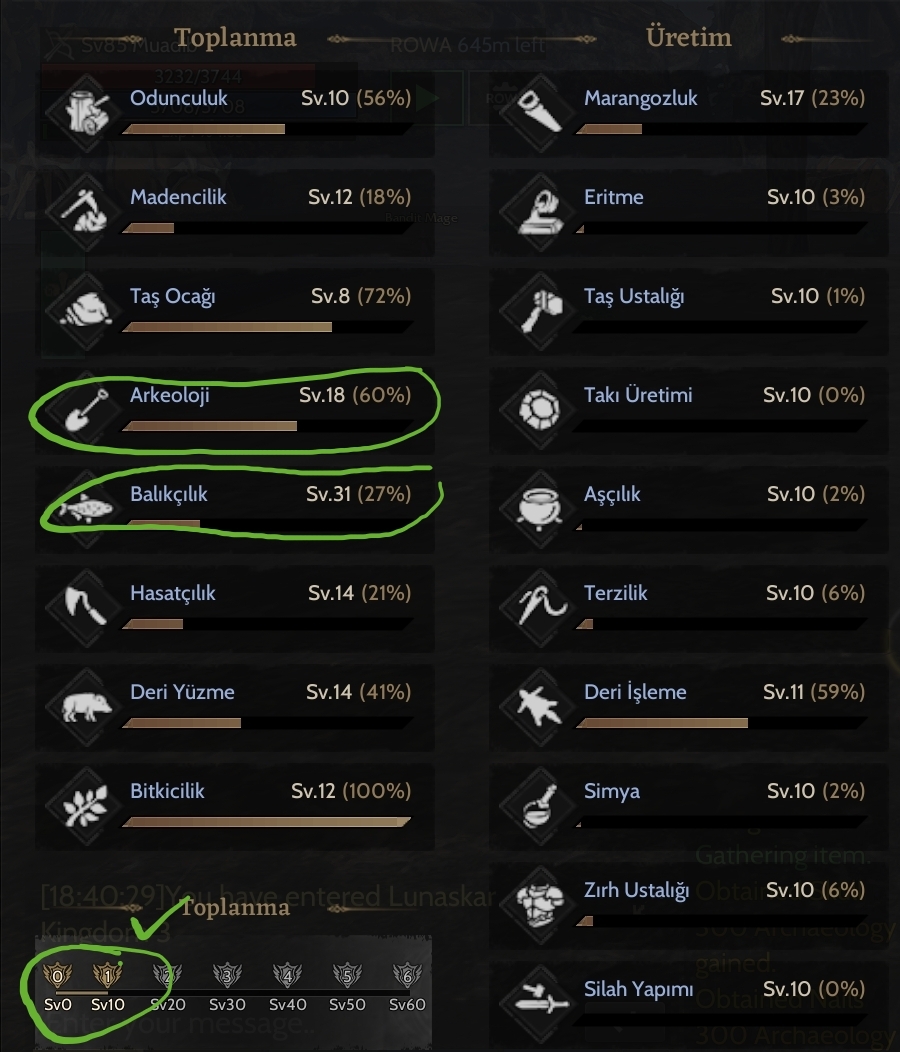 GM1 85 lvl Rogue /İtemli/ Relic / Nyra /Toplama ve Craftlı