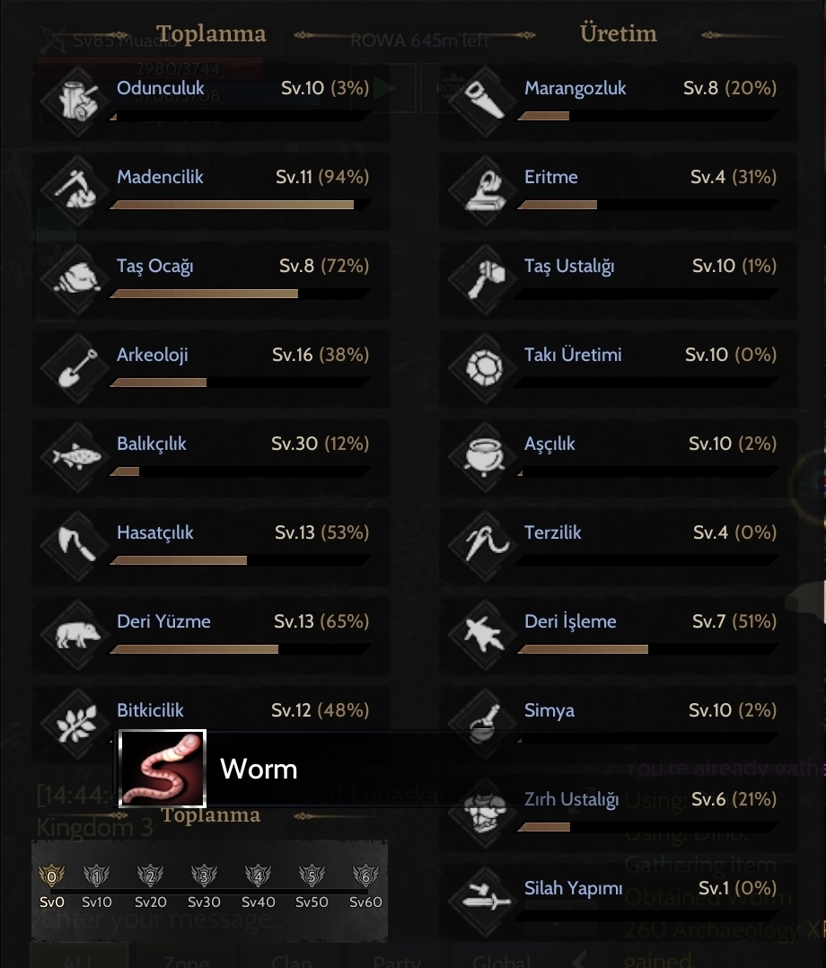 GM1 e yakın 85 lvl Rogue /İtemli/ Toplama ve Craftlı