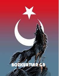 KO4FUN  Goldbar Pazarı