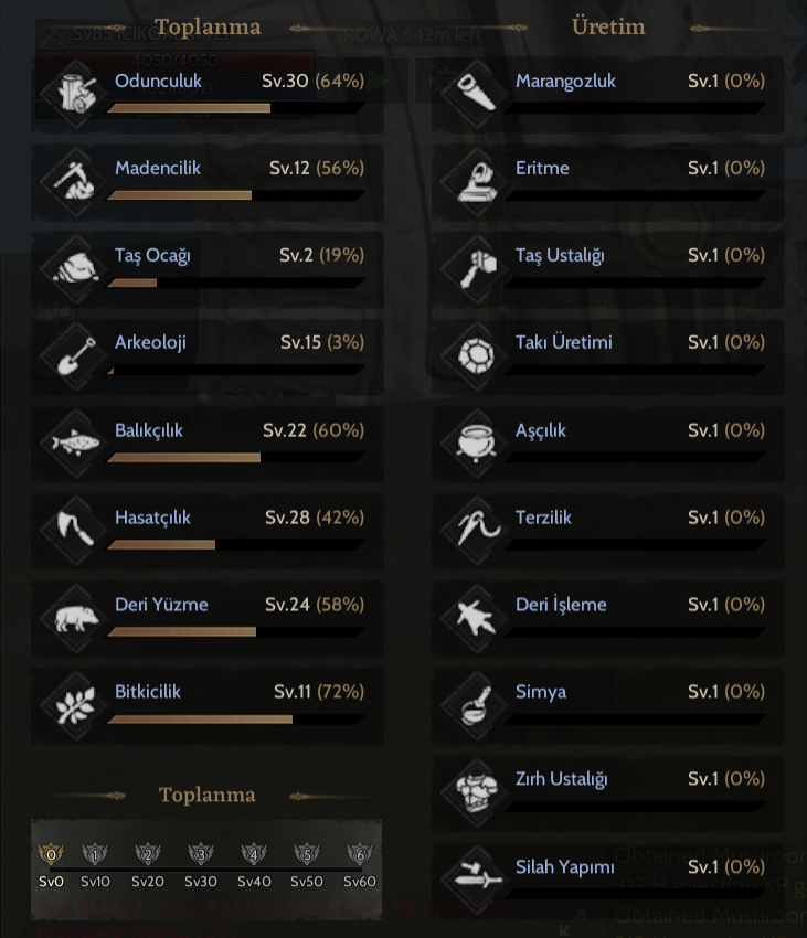 1X30 3X20 TOPLAYICI 85 LEVEL ROGUE LUNASKAR 1X30 3X20 3X10