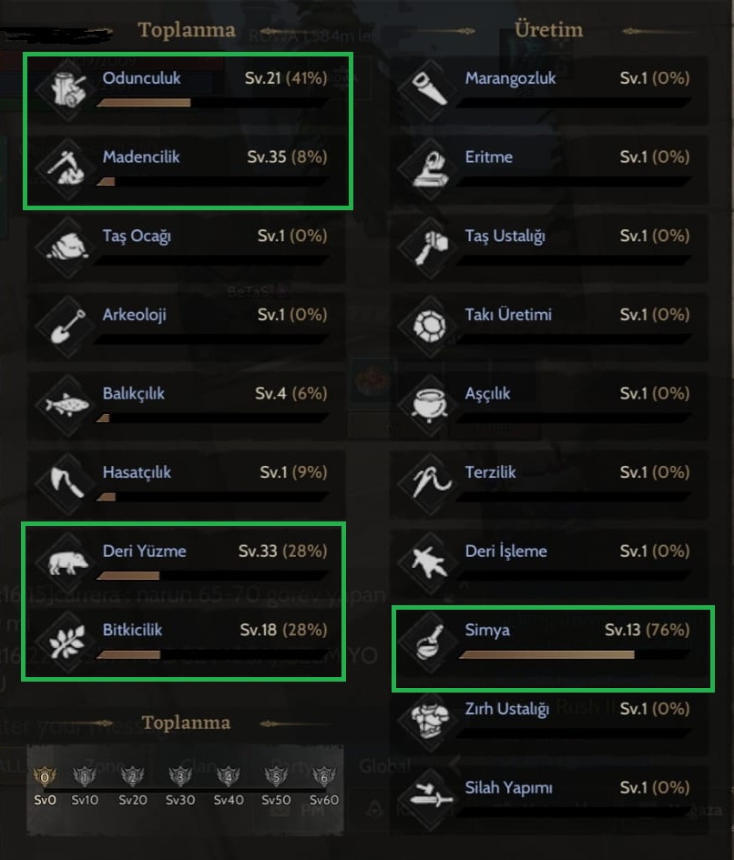 81 LEVEL ROGUE TOPLAYICI