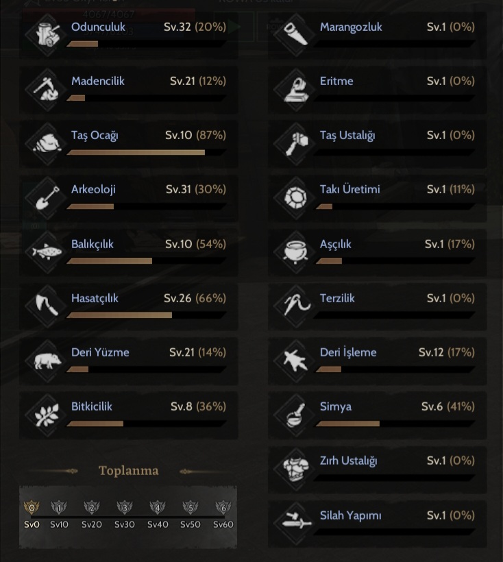 85 LEVEL TOPLAMALI ROGUE