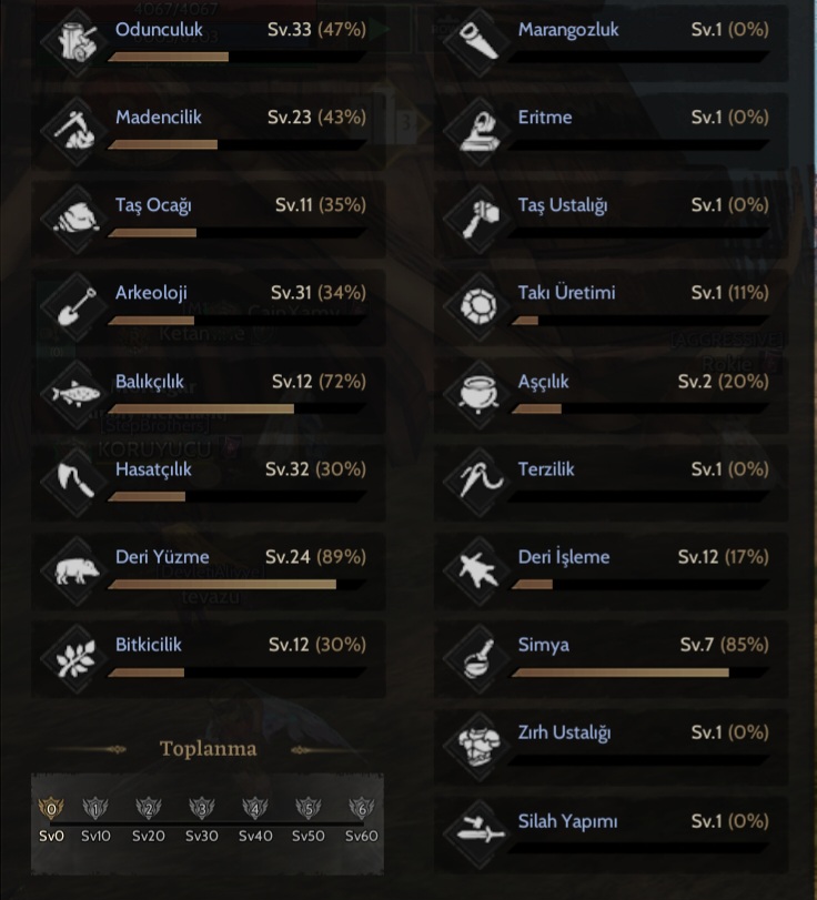 85 LEVEL TOPLAMALI ROGUE
