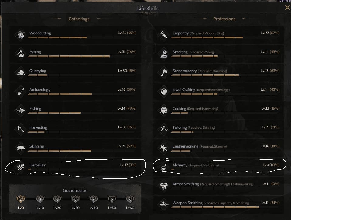 85 lvl rogue toplayıcı ve gm1 olmaya yakın