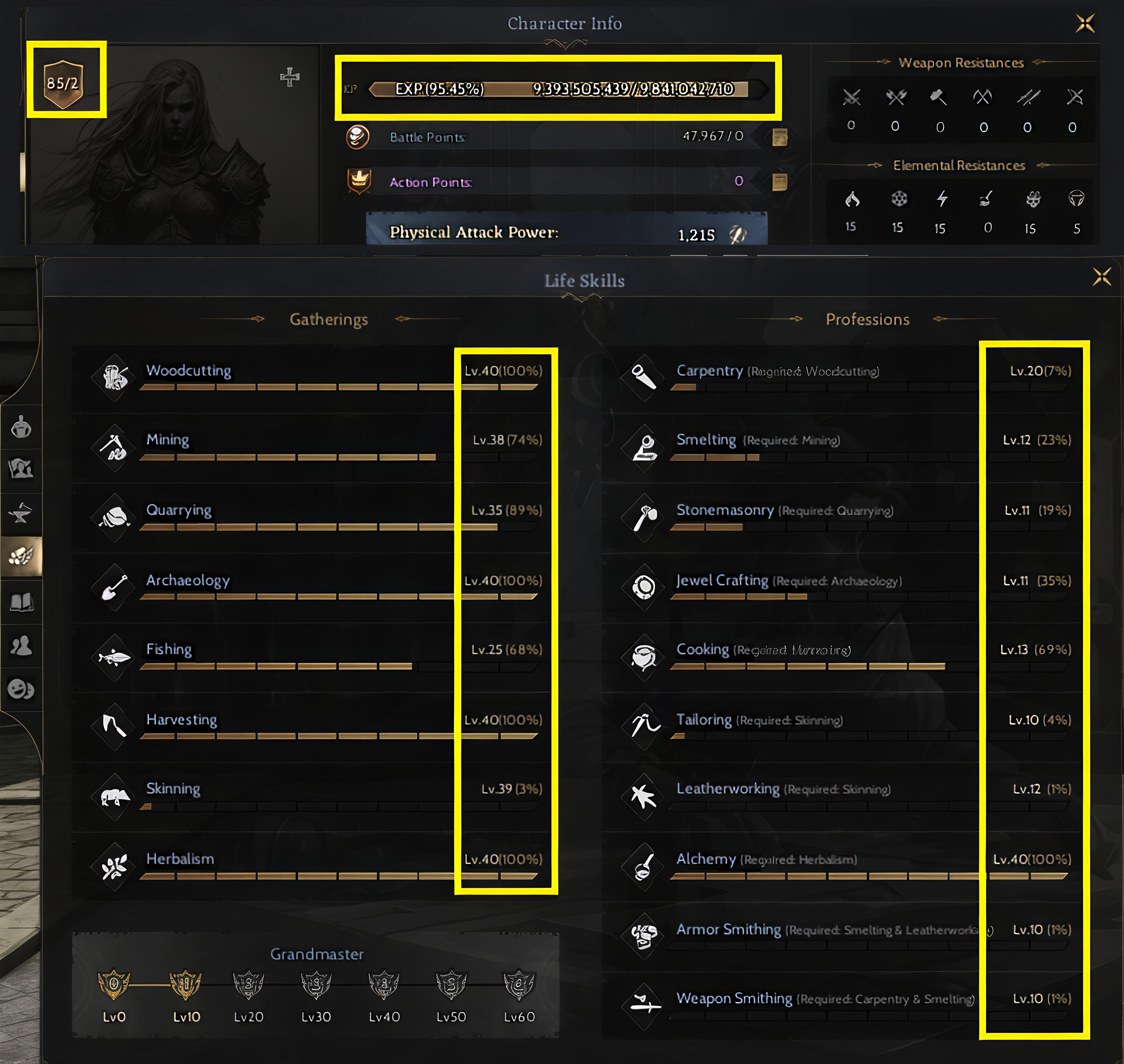 GM1 85/2 %97 Neredeyse Hepsi 40 lv. Toplayıcı Priest