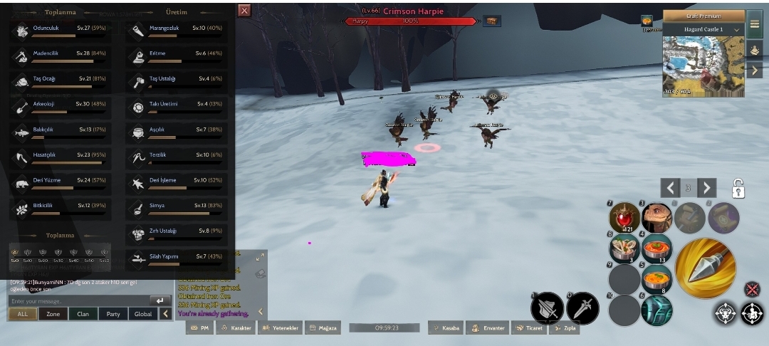 Protean rogue 82 level gm1