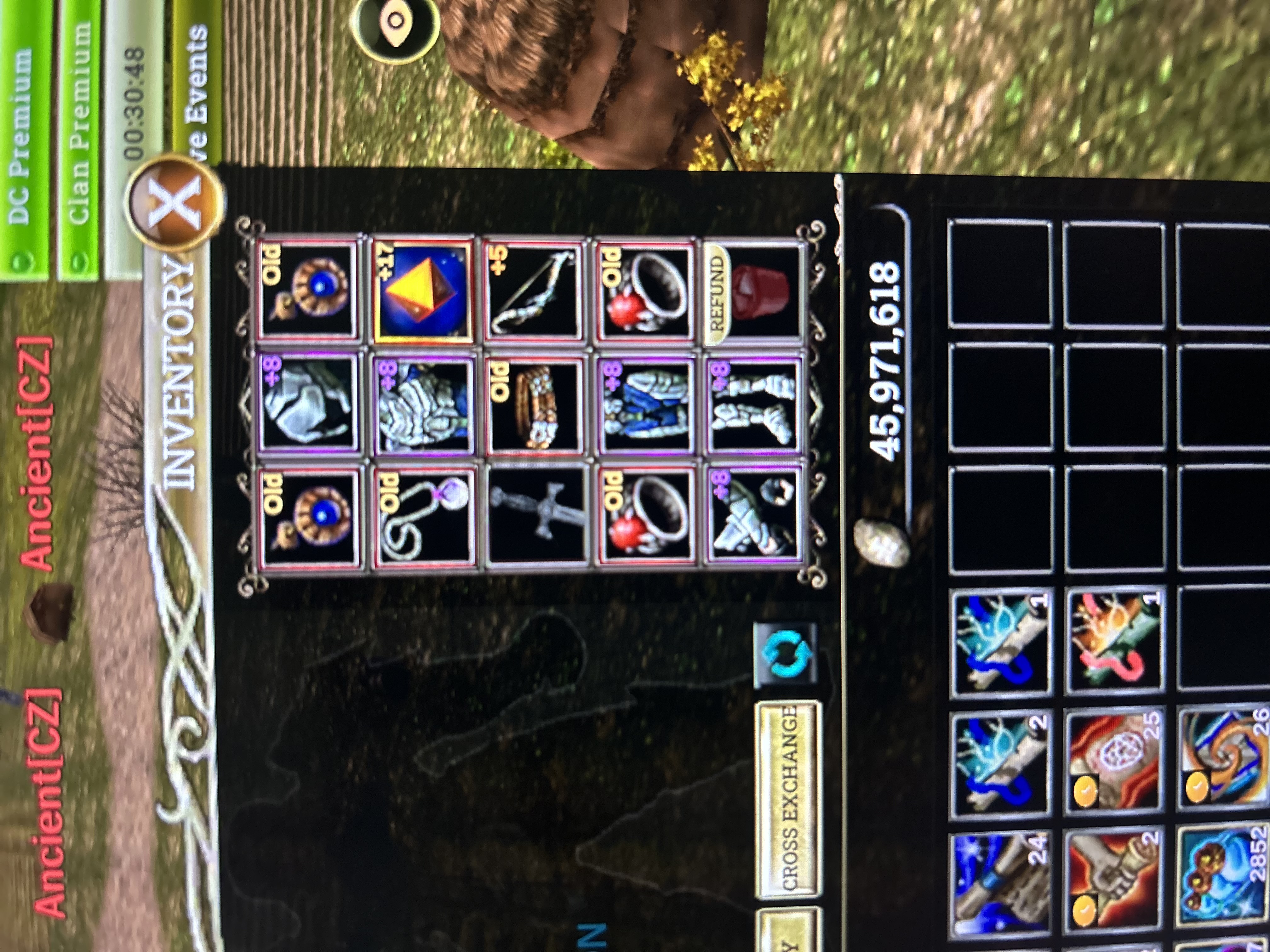 83 lw Rogue +8 Quest Bow  +17 talismanlı 2 milyon 700 k np