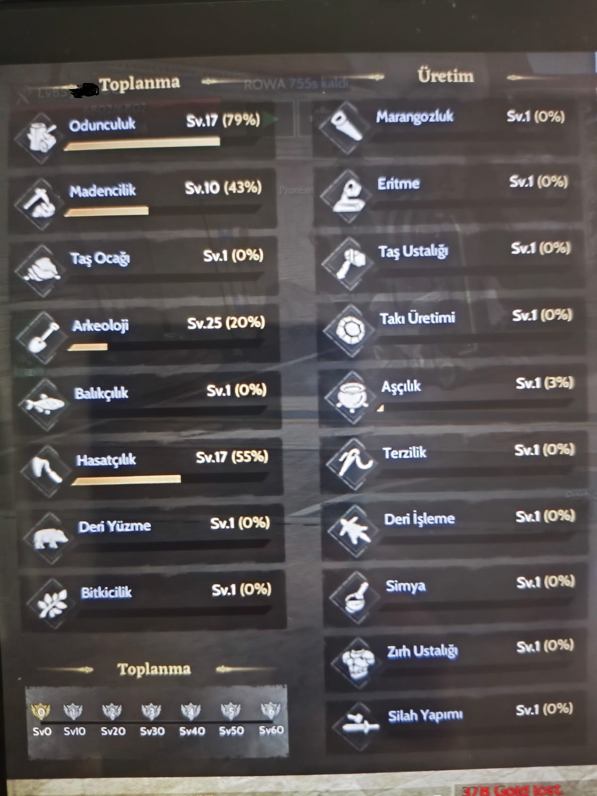 85 Level Lunaskar Warrior // 25LVL Arkeoloji // 17 LVL Wood & Harvest (NFT SİZE AİT)