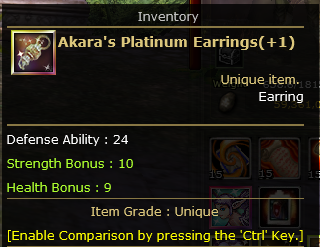 Akara Platinum Earrings +1
