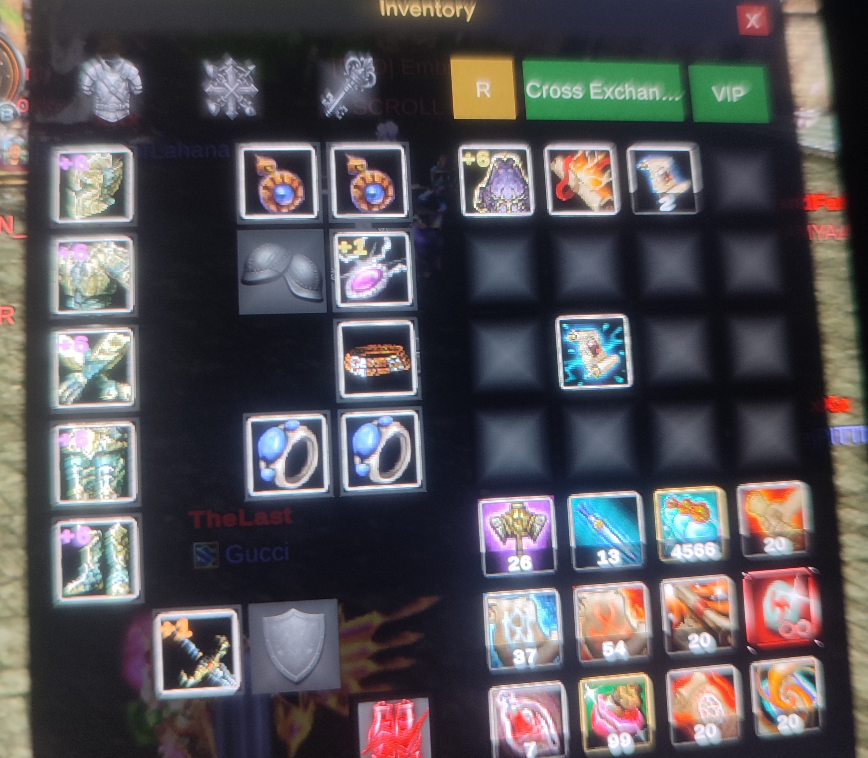 SELL+7 Quesli warrior