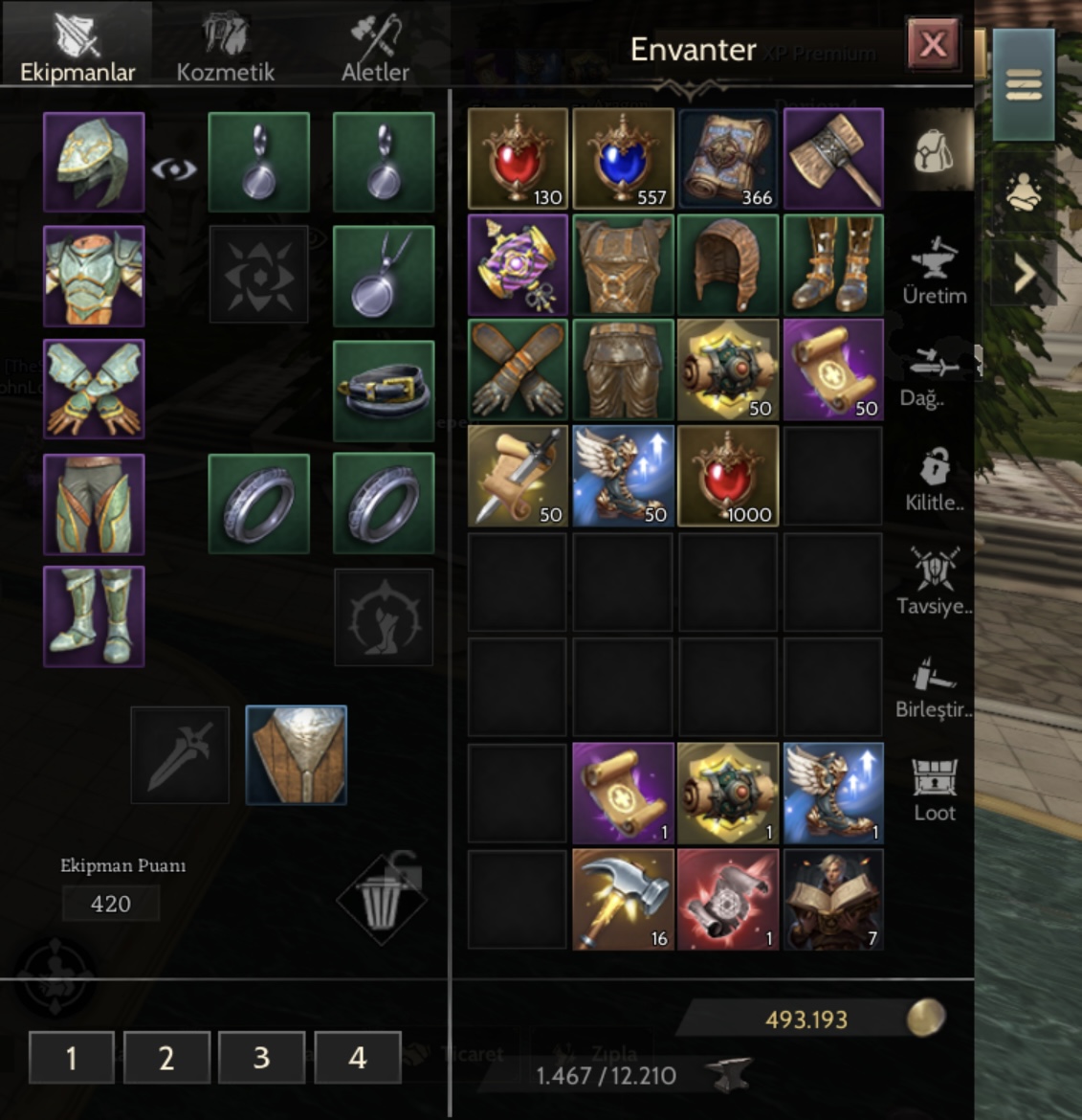 82 LVL PRİEST ARCANALI PREMİUMLU