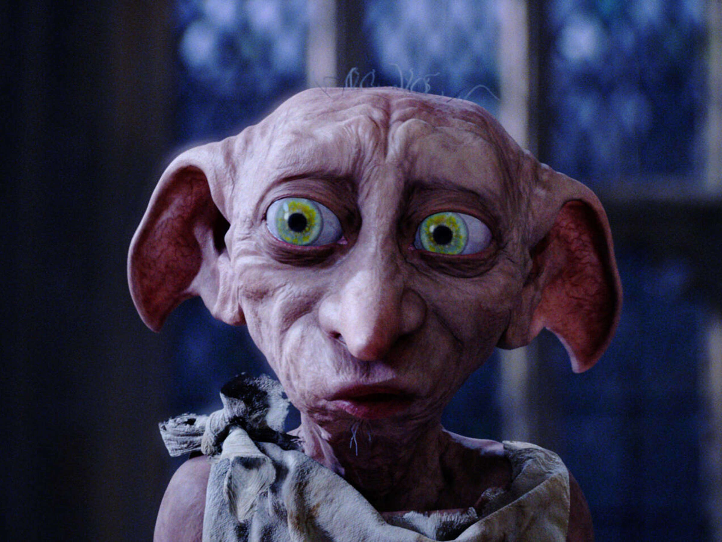 DOBBY
