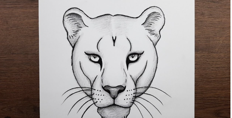 LionS
