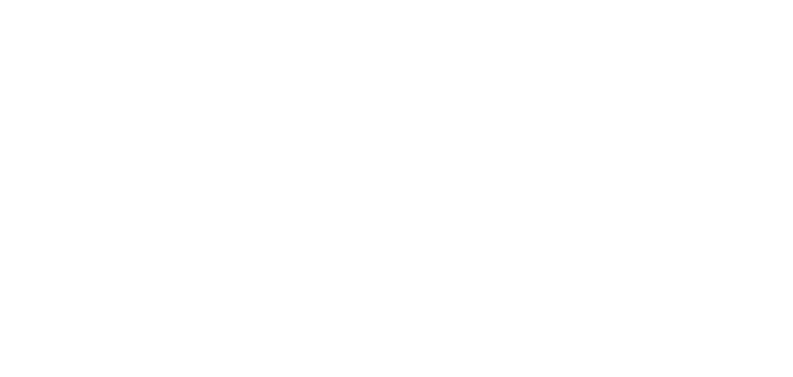 RiseMobilee