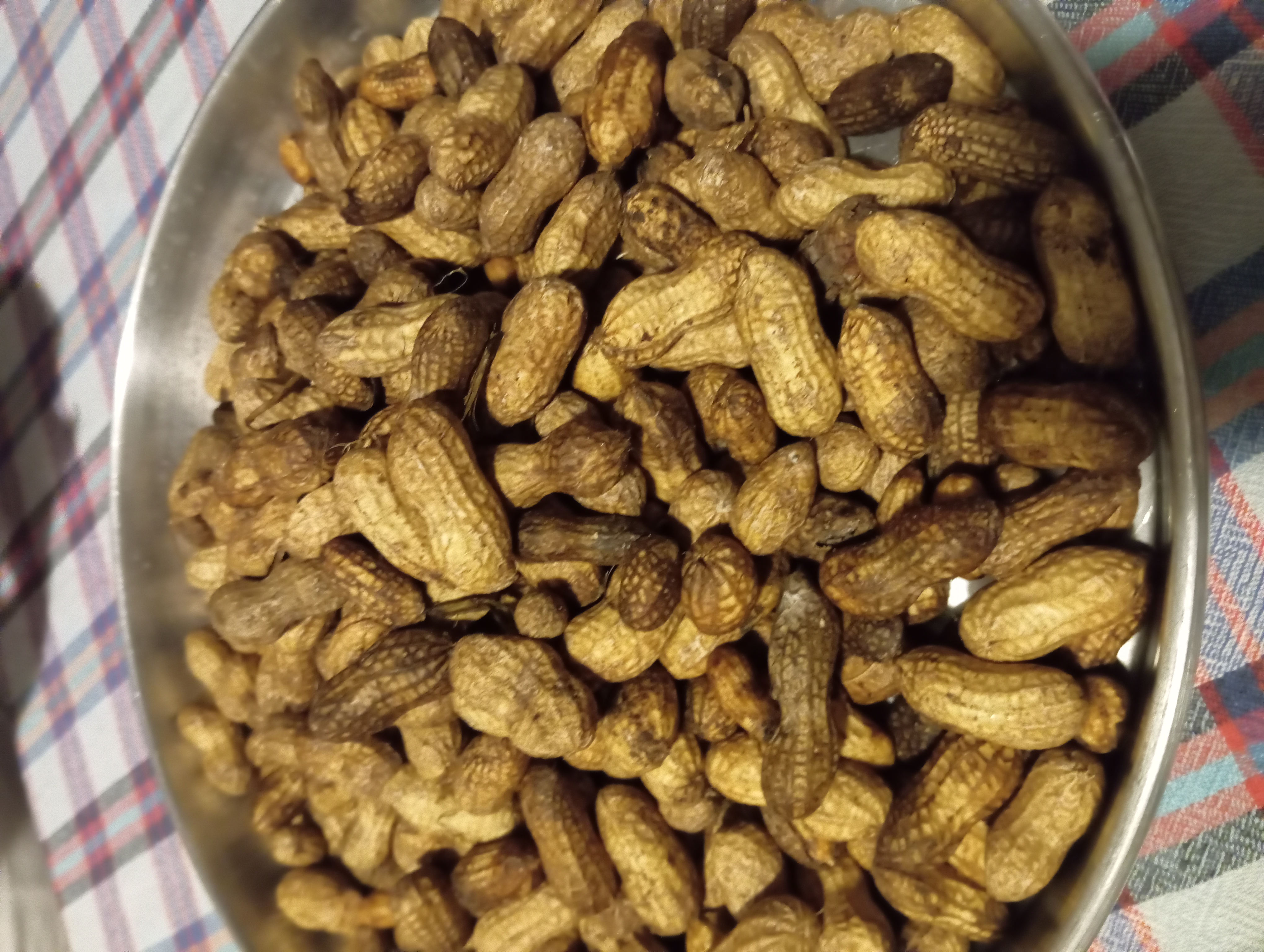 tamgamamut